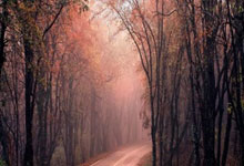 包含里程碑夜！切尔西状态回暖，英超关键时刻刷纪录，更衣室稳定，细节决定成败的词条-开云娱乐