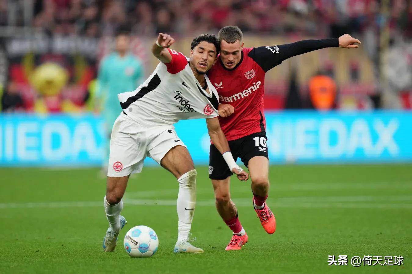 布莱顿队转会一览